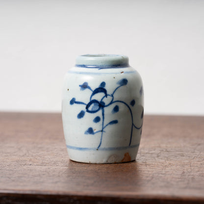 Qing Dynasty Blue and White Porcelain Jarlet with Flower Leaf Design