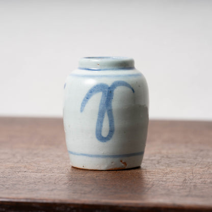 Qing Dynasty Blue and White Porcelain Jarlet with Flower Leaf Design