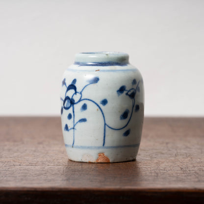 Qing Dynasty Blue and White Porcelain Jarlet with Flower Leaf Design