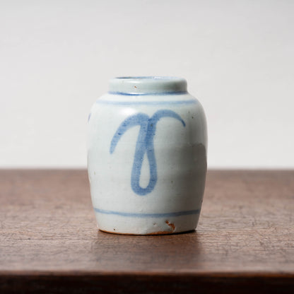 Qing Dynasty Blue and White Porcelain Jarlet with Flower Leaf Design