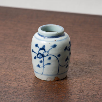 Qing Dynasty Blue and White Porcelain Jarlet with Flower Leaf Design