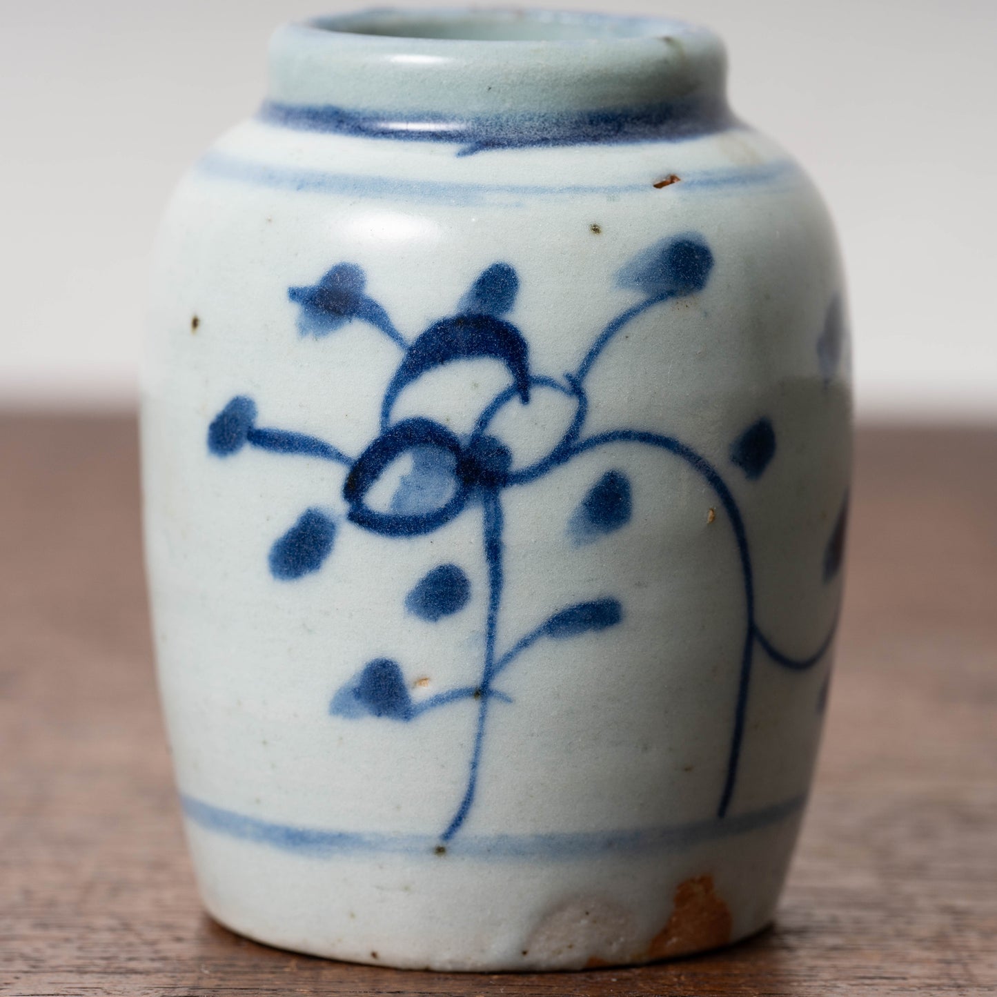 Qing Dynasty Blue and White Porcelain Jarlet with Flower Leaf Design