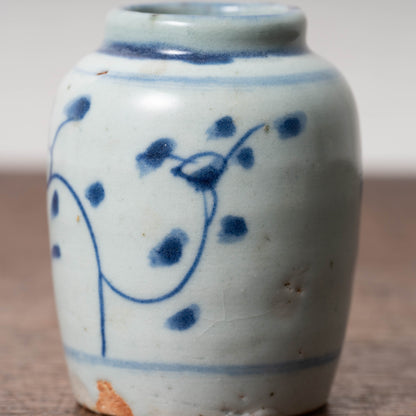 Qing Dynasty Blue and White Porcelain Jarlet with Flower Leaf Design