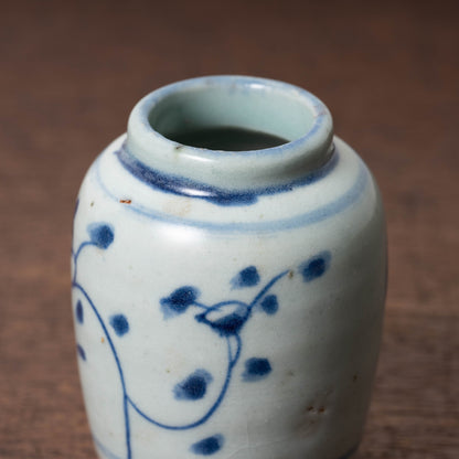 Qing Dynasty Blue and White Porcelain Jarlet with Flower Leaf Design