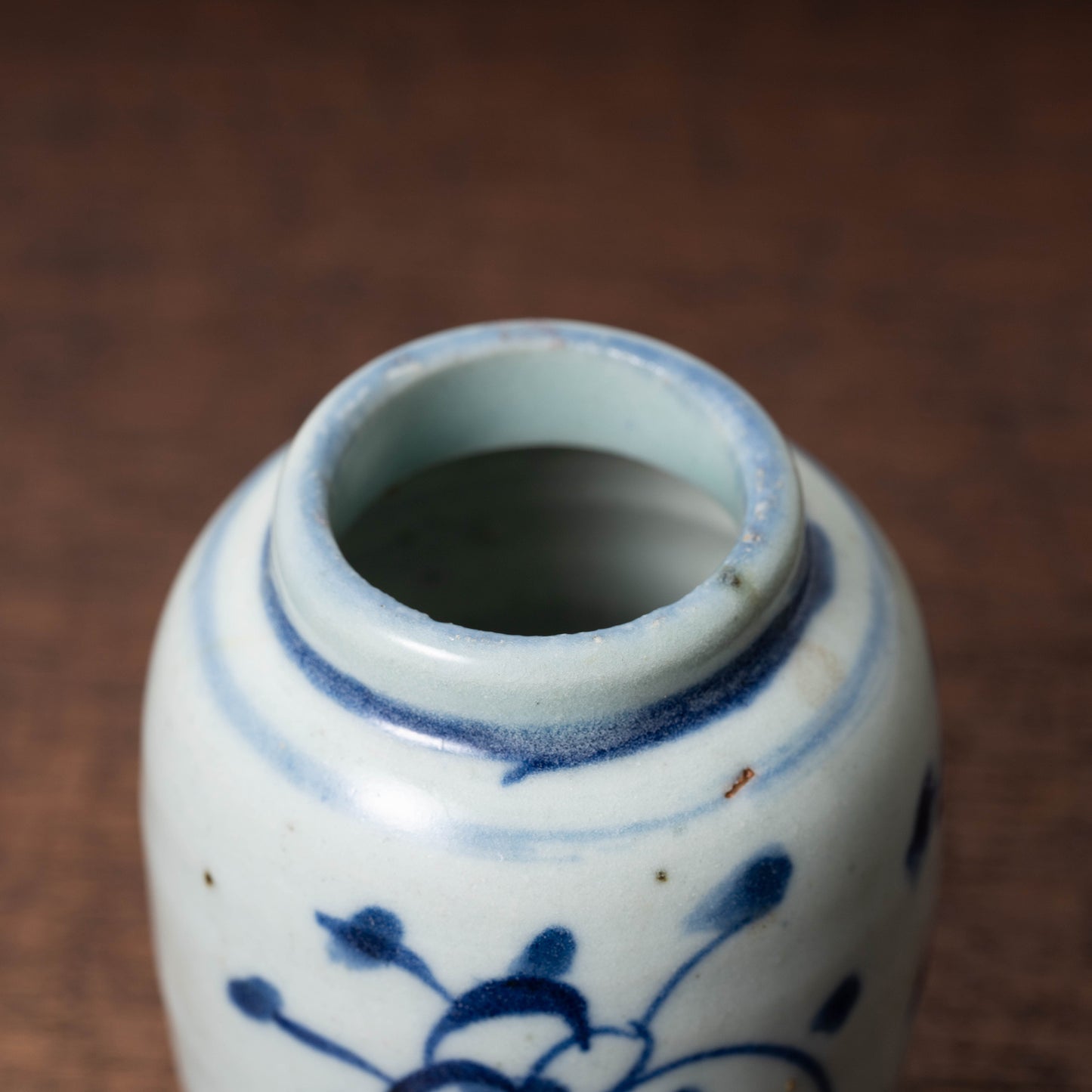 Qing Dynasty Blue and White Porcelain Jarlet with Flower Leaf Design