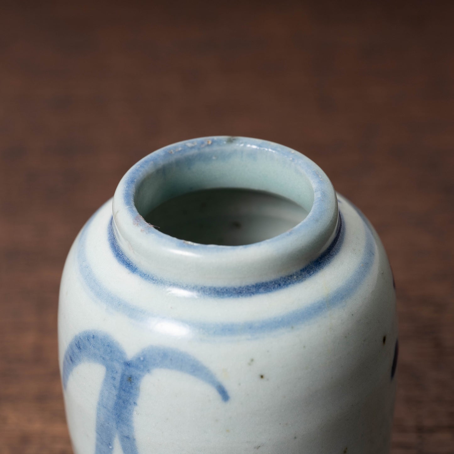 Qing Dynasty Blue and White Porcelain Jarlet with Flower Leaf Design