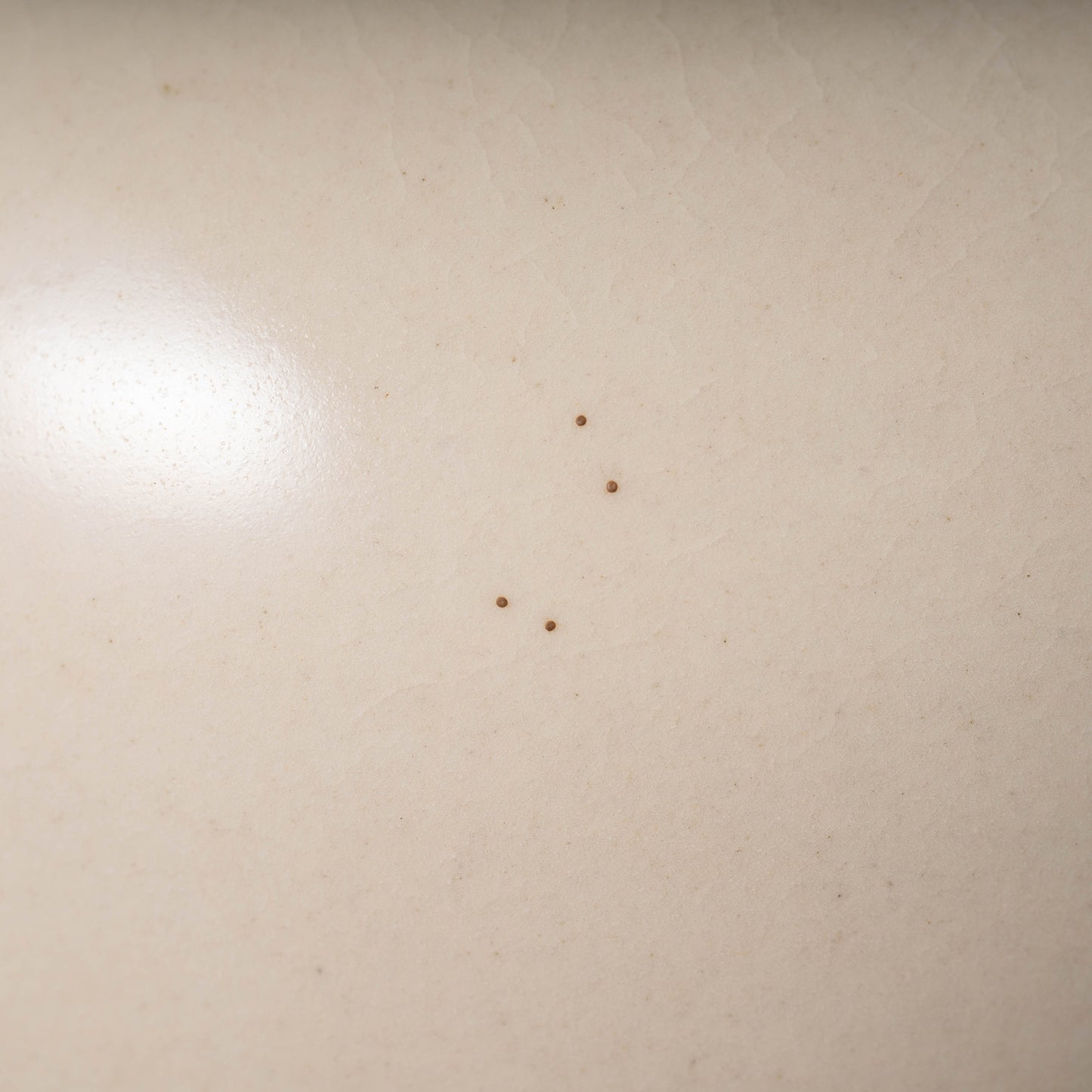 唐代 邢州窯 白磁盤口双耳瓶「大盈」銘