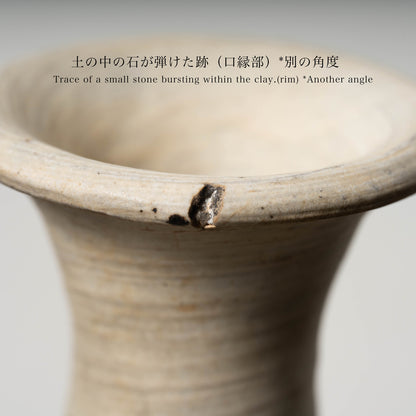 李氏朝鮮 鶏龍山 粉青沙器鉄絵唐草文瓶