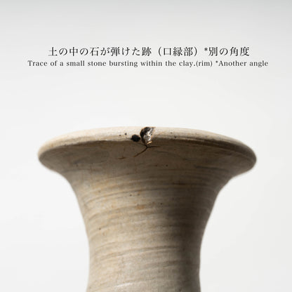 李氏朝鮮 鶏龍山 粉青沙器鉄絵唐草文瓶