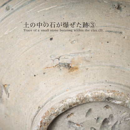李氏朝鮮 鶏龍山 粉青沙器鉄絵唐草文瓶